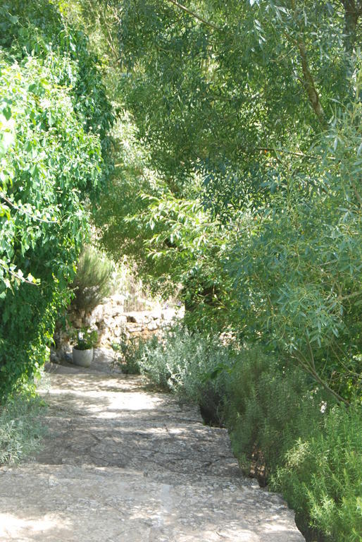 Sintra Center Guest House Escape To Nature エクステリア 写真