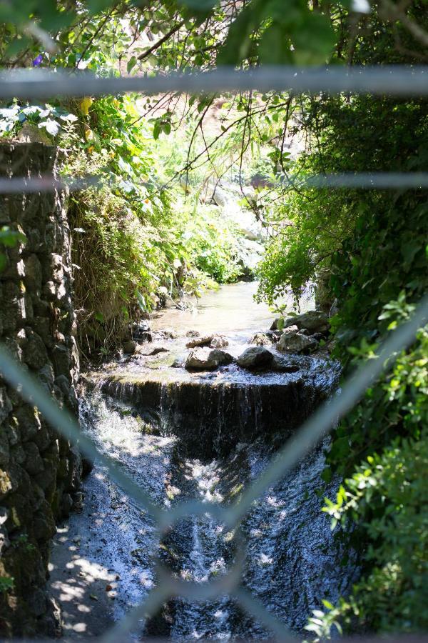 Sintra Center Guest House Escape To Nature エクステリア 写真