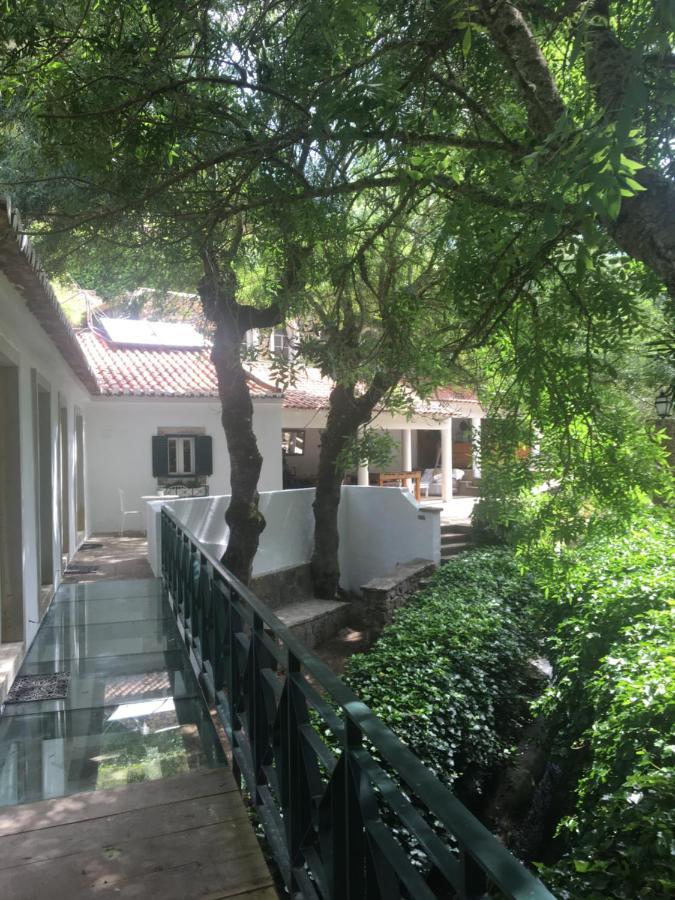 Sintra Center Guest House Escape To Nature エクステリア 写真