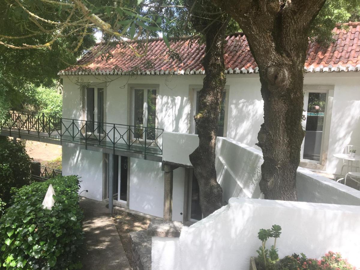 Sintra Center Guest House Escape To Nature エクステリア 写真